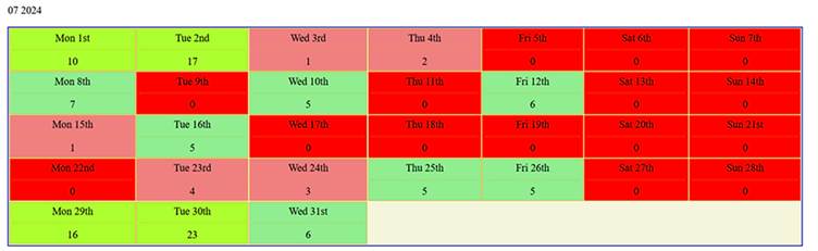 Ballybunion Timesheet July 2024